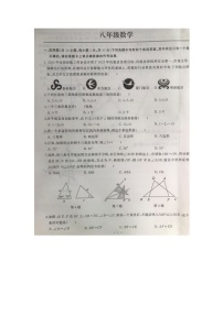 湖北省武汉市江岸区2023-—2024学年八年级上学期11月期中数学试题