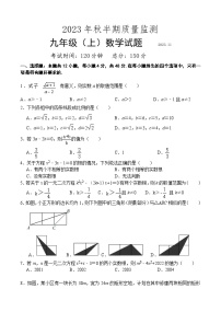 四川省眉山市仁寿县城区2023-2024学年九年级上学期期中考试数学试题