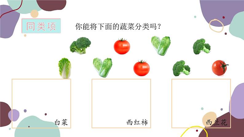 青岛版数学七年级上册 6.2 同类项课件03