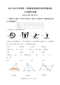 山东省滨州市博兴县2023-2024学年八年级上学期期中数学试题