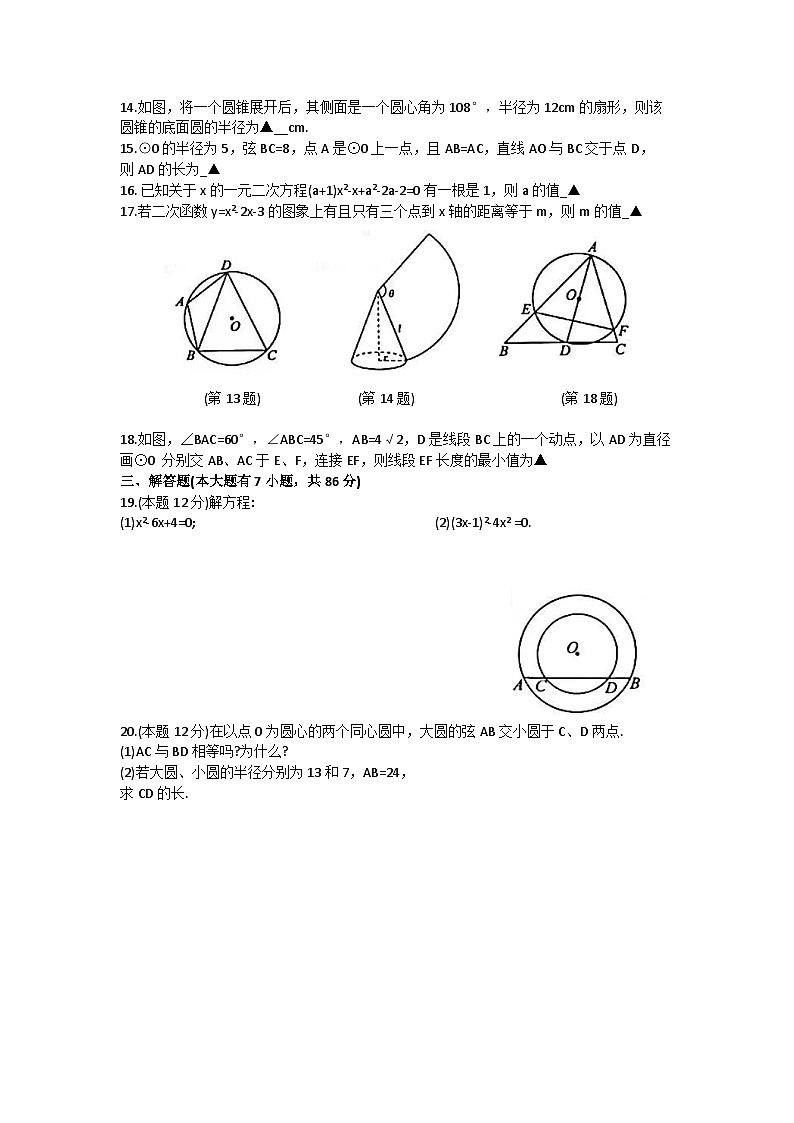 _江苏省徐州市2023-2024学年九年级上学期期中考试数学试卷第2页