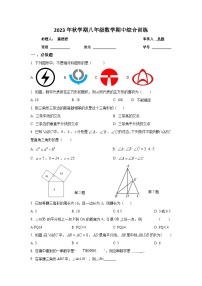 江苏省盐城市盐都区实验初中2023--2024学年上学期八年级数学期中试卷