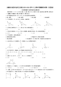 _安徽省合肥市2023-—2024学年八年级上学期期中预测数学试卷