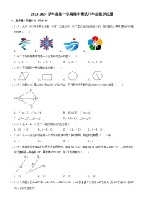 吉林省长春市榆树市太安乡中学校2023-2024学年八年级上学期11月期中数学试题