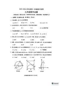 江苏徐州市师大附中2023-2024学年九年级上学期11月期中数学试题