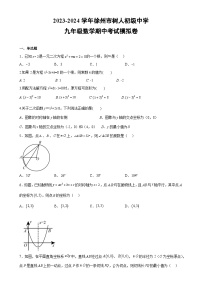 江苏省徐州市鼓楼区树人初级中学2023-2024学年九年级上学期数学期中考试模拟卷