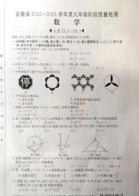 安徽省阜阳市太和县2023—2024学年九年级上学期11月期中数学试题