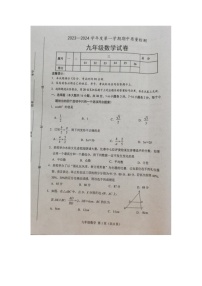 河北省唐山市乐亭县2023-2024学年九年级上学期期中考试数学试题