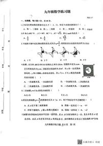 山东省泰安市岱岳区2023-2024学年九年级上学期11月期中数学试题