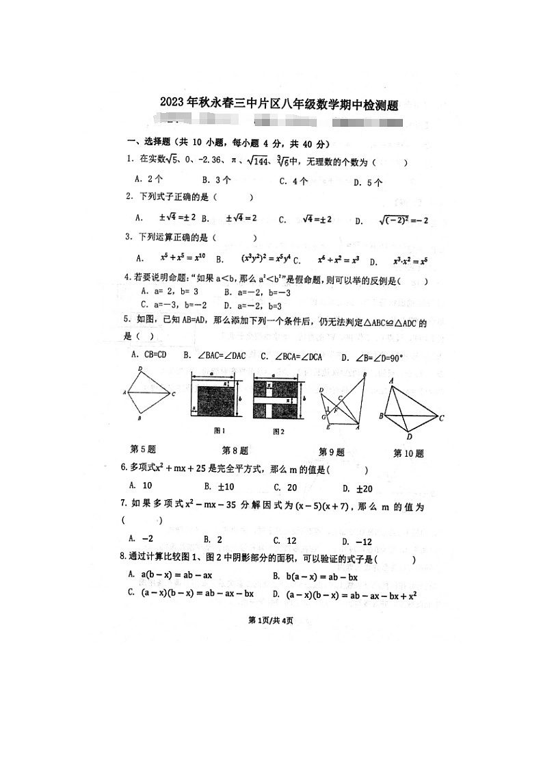 福建省泉州市永春三中片区2023-2024学年八年级上学期期中联考数学试题第1页