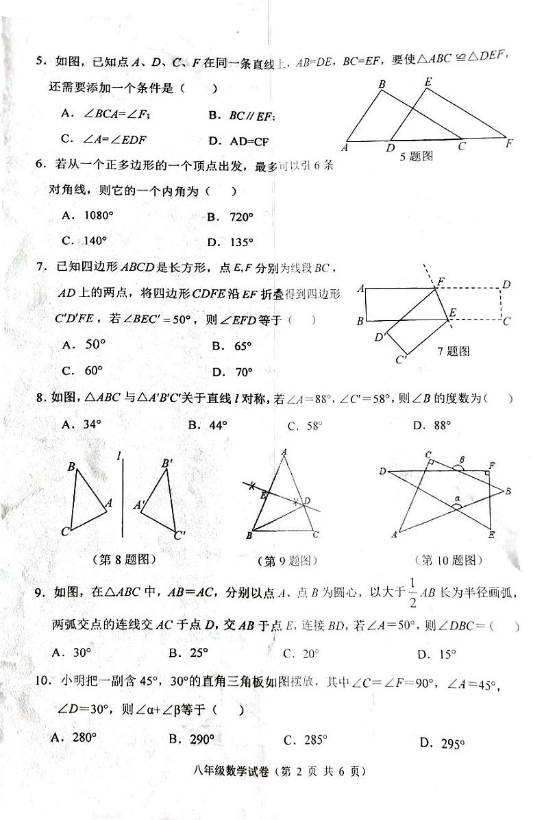 河北省唐山市丰润区2023-2024学年八年级上学期11月期中数学试题02
