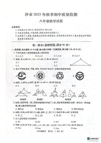 湖北省荆州市沙市区2023-2024学年八年级上学期期中数学试题