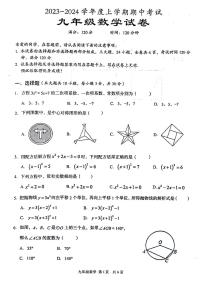 湖北省武汉市东西湖区2023-2024学年上学期期中考试九年级 数学试卷