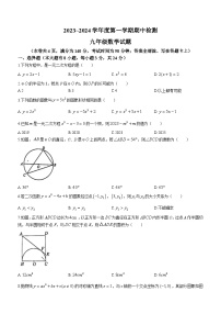 江苏省徐州市铜山区江苏师范大学附属学校2023-2024学年九年级上学期期中数学试题(无答案)