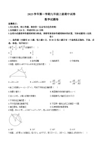 浙江省宁波市海曙区宁波市海曙区十校联考2023-2024学年九年级上学期期中数学试题