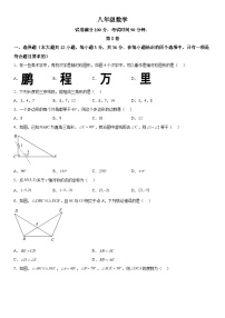 天津市红桥区2023-2024学年八年级上学期期中数学试题（含解析）