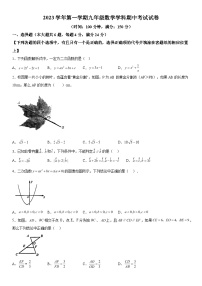 上海市普陀区2023-2024学年九年级上学期期中数学试题 含解析