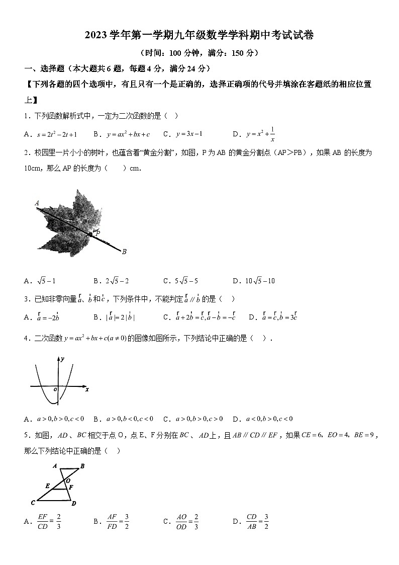 上海市普陀区2023-2024学年九年级上学期期中数学试题 含解析01