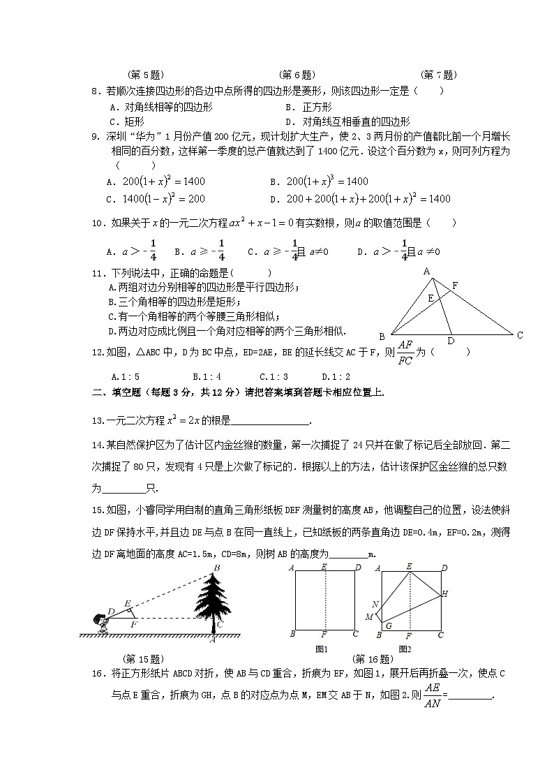 广东省深圳市宝安区振兴学校2022-2023学年九年级上学期期中考试数学试题02