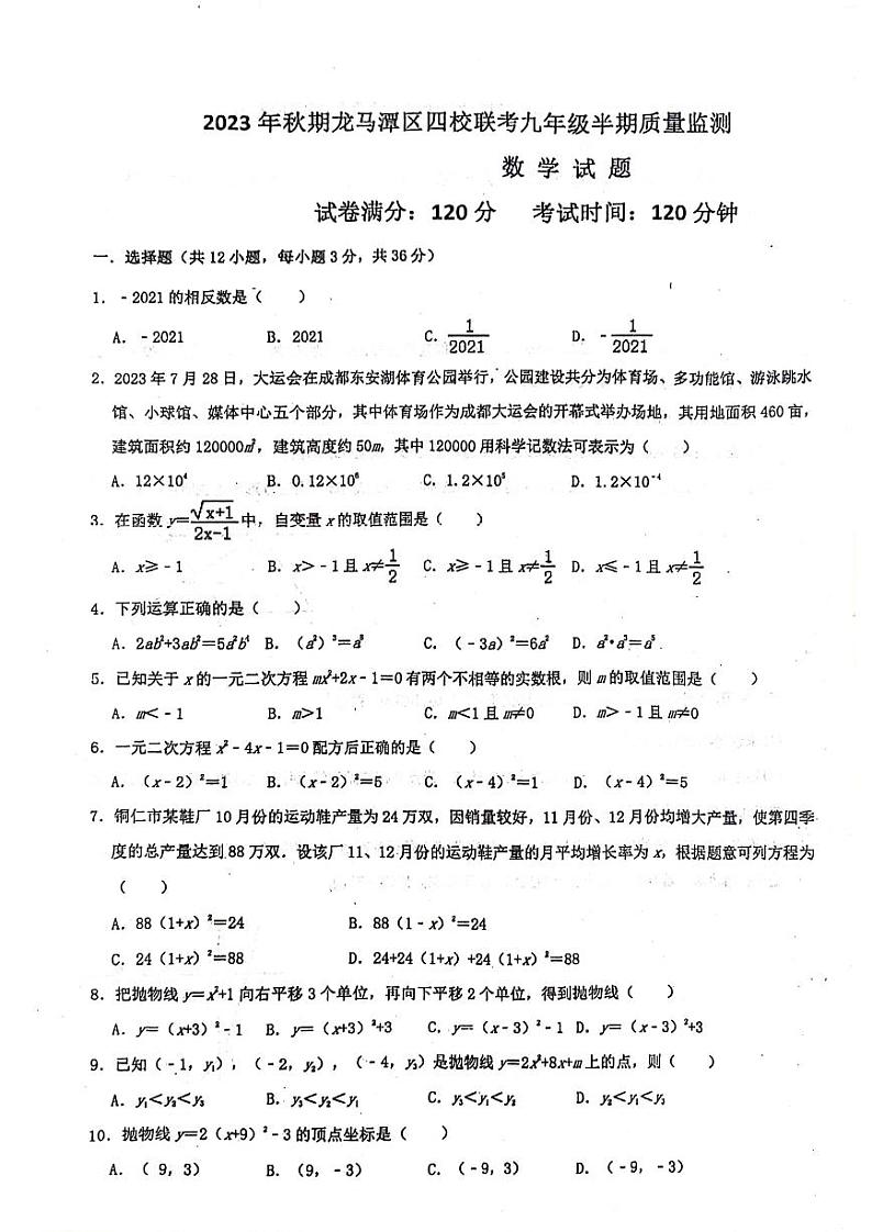 四川省泸州市龙马潭区2023-2024学年九年级上学期11月期中数学试题第1页