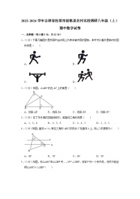 吉林省松原市前郭县农村名校调研2023-2024学年八年级上学期期中数学试卷