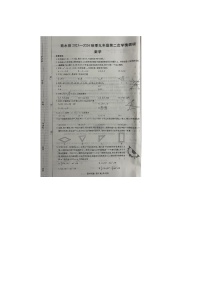 河南省周口市商水县2023-2024学年九年级上学期11月期中数学试题