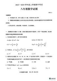 山东省泰安市肥城市2023-2024学年八年级上学期期中考试数学试题(PDF版无答案）