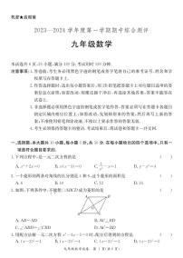 广东省河源市紫金县2023-2024学年上学期九年级数学期中试卷（PDF版，含答案）