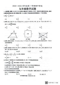 山东省枣庄市滕州市2023-2024学年九年级上学期11月期中数学试题