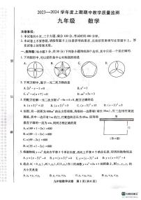 河南省信阳市2023-2024学年九年级上学期11月期中数学试题