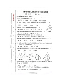 海南省临高县2023-2024学年八年级上学期11月期中数学试题