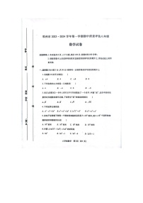 河南省南阳市邓州市2023-2024学年八年级上学期11月期中数学试题