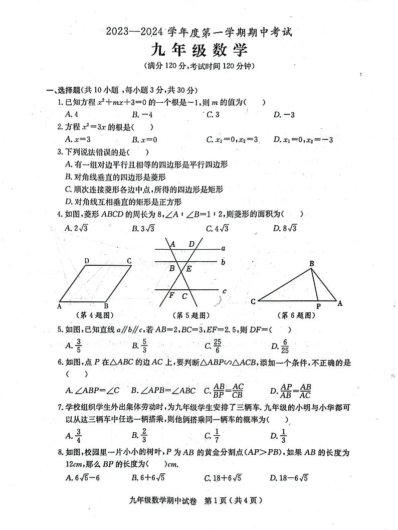广东省茂名市电白区2023—2024 学年上学期期中考试九年级数学试题01