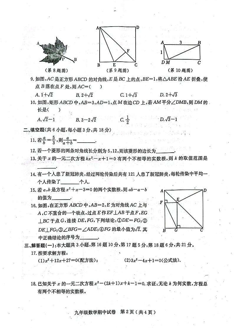 广东省茂名市电白区2023—2024 学年上学期期中考试九年级数学试题02