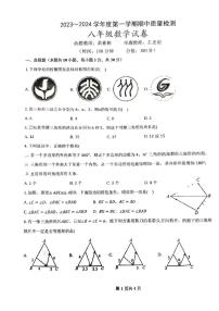 安徽省铜陵市2023-2024学年八年级上学期11月期中数学试题