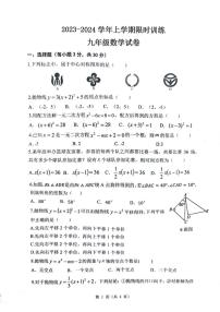 广东省中山市2023-2024学年九年级上学期11月期中数学试题