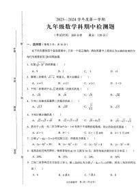 海南省海口市丰南中学2023-2024学年九年级上学期期中检测数学试卷