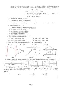 四川省成都市第七中学初中学校2023-2024学年九年级上学期11月期中数学试题