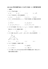 内蒙古包头市第三十五中学2023—2024学年上学期八年级期中数学试卷