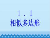 青岛版数学九年级上册 1.1 相似多边形课件