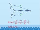 青岛版数学九年级上册 1.4 图形的位似课件