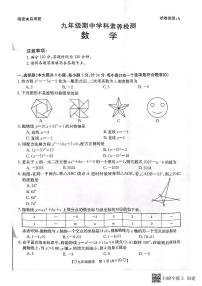 陕西省安康中学高新分校2023-2024学年九年级上学期11月期中数学试题