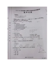 河北省保定市高碑店市2023-2024学年九年级上学期11月期中数学试题