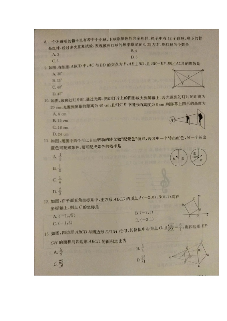 河北省保定市高碑店市2023-2024学年九年级上学期11月期中数学试题02
