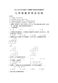 广东省茂名市化州市2023-2024学年七年级上学期11月期中数学试题