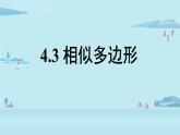 北师大版九年级数学上册课件 4.3 相似多边形