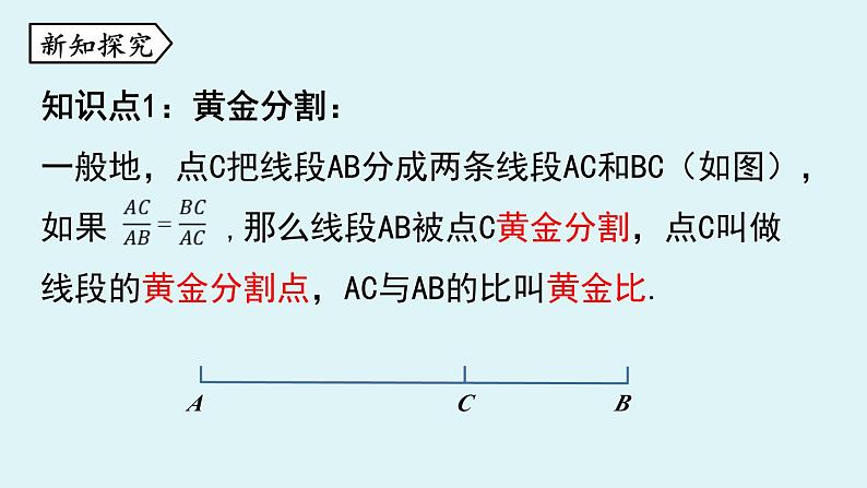 北师大版九年级数学上册课件 4.4.4 黄金分割第4页