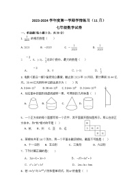 广东省茂名市高州市第一中学2023-2024学年七年级上学期11月期中数学试题