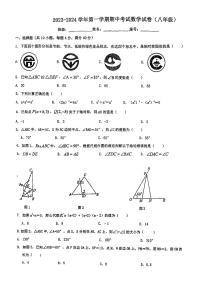 福建省福州日升中学2023-2024学年上学期八年级期中考数学试卷