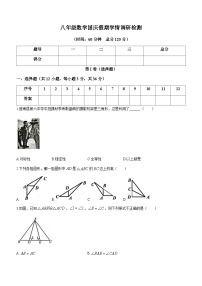 山东省临沂市莒南县2023-2024学年八年级上学期10月月考数学试题